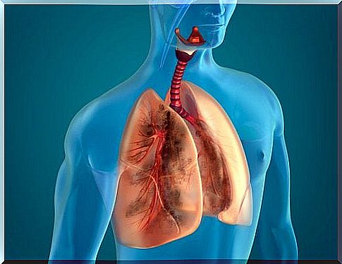 10 natural ingredients to clean smoker's lungs