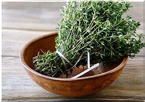 thyme