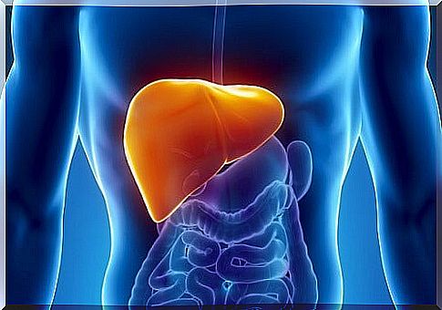 12 foods that will strengthen one's liver