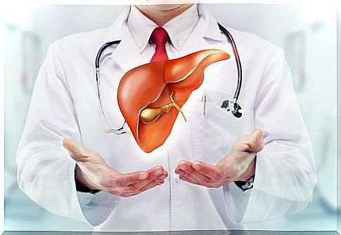 Doctor holding out his hands and there is a liver above