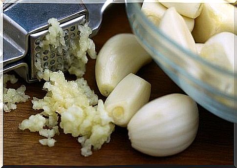 Garlic