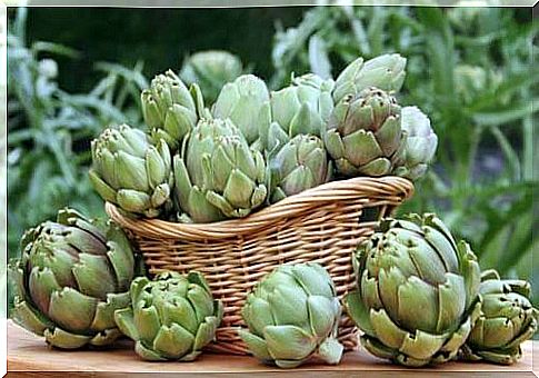 Artichoke