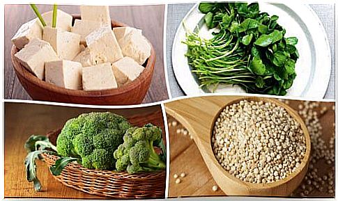 8 protein-rich plant-based foods you should add to your diet