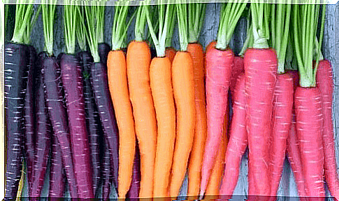 Different types of carrots