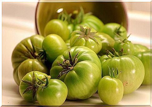 Pile of green tomatoes