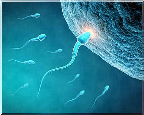 This is how diet can affect a man's sperm quality