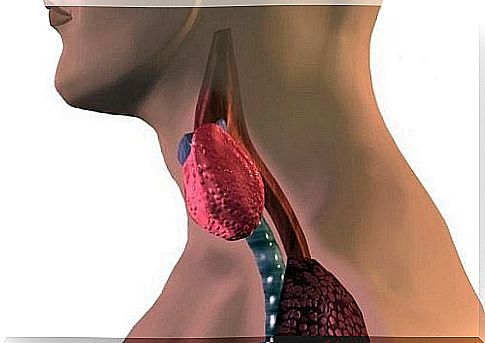 This is how you know if your thyroid is not working optimally