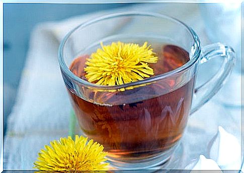 How to use dandelion and all its benefits