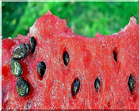 Make an infusion of watermelon seeds with lots of good properties