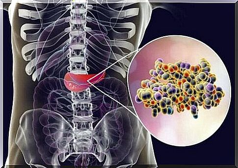 Insulin in the stomach has an effect on whether artificial sweeteners can fight obesity