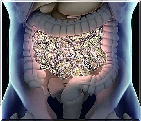 Intestinal microbiota shows how artificial sweeteners can fight obesity