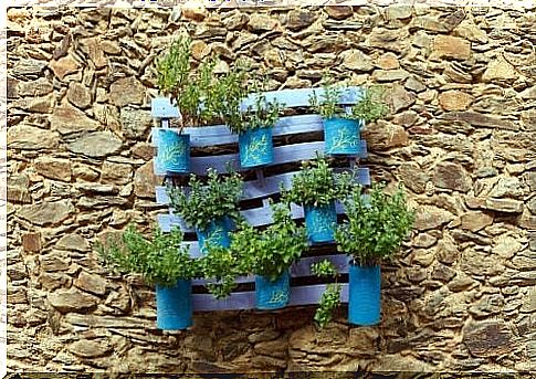 Potted plants made of cans