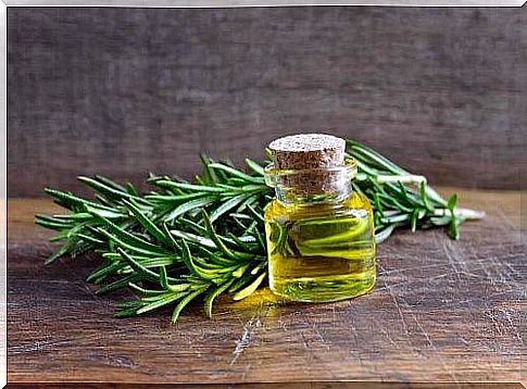 Rosemary has many good properties