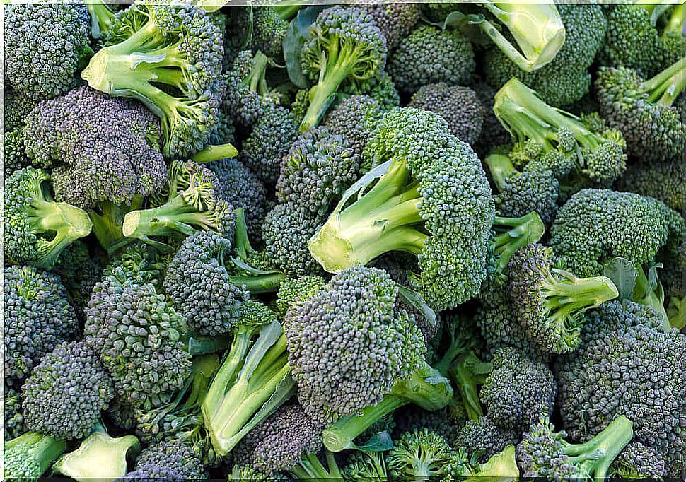 Broccoli