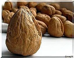 walnuts2