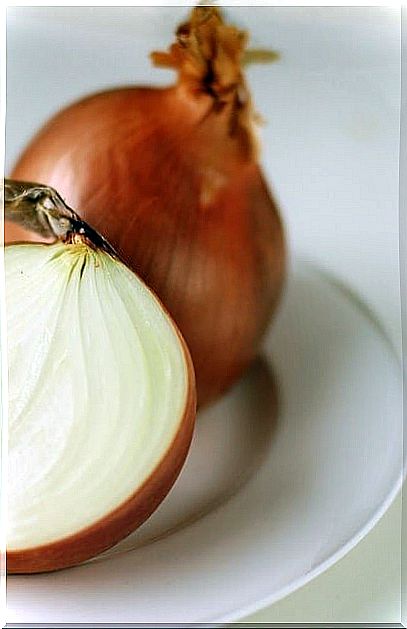 Onion2