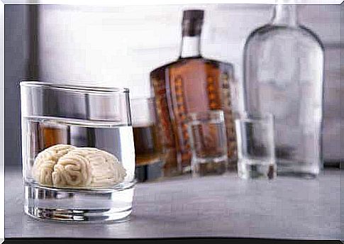 Brain in glass with transparent liquid