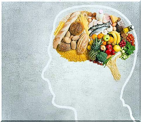 The essential fats for the brain