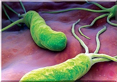 This bacterium causes pain, bloating and diarrhea