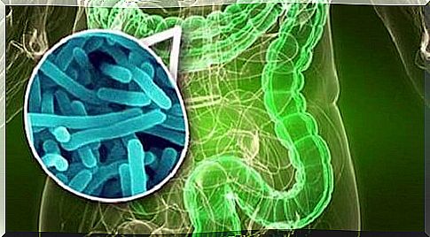 This bacterium is found in your intestines