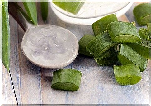 Bowl of aloe vera.