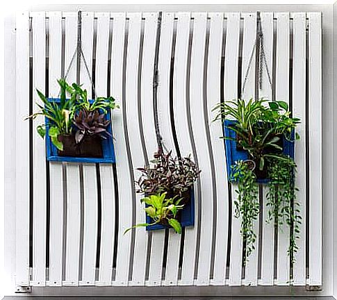 A vertical garden creates life in your home