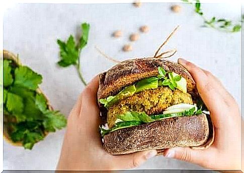 Two types of vegan burger steaks you should try