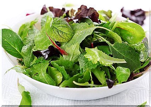 Green salad